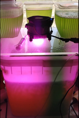 2026-05-10_10h36_34.png