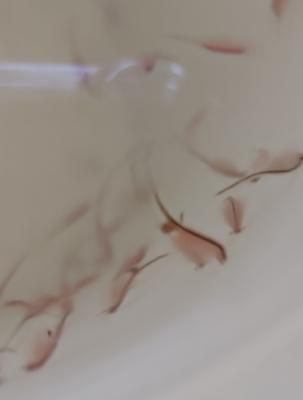 2026-05-10_10h49_55.png