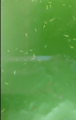 2026-05-10_10h39_17.png