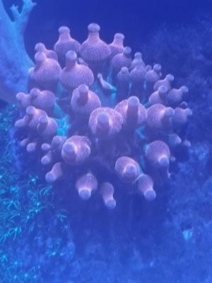 IMG_20260525_182804.jpg