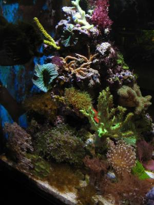 2016-04-27 011.JPG