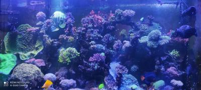 IMG_20260502_185749.jpg