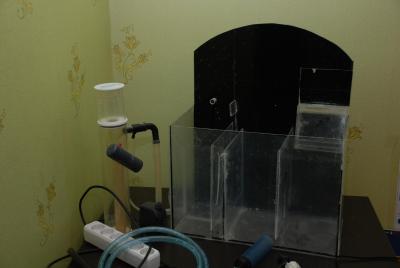 DSC_9958.JPG