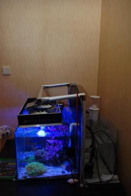 DSC_9963.JPG