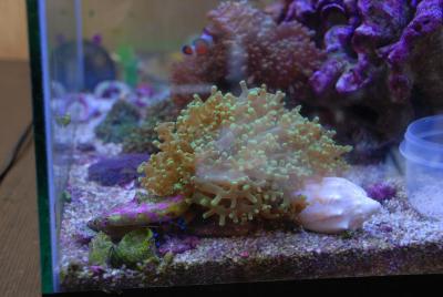 DSC_0084.JPG