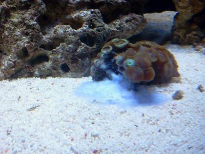 2013-06-16 22.01.55.jpg