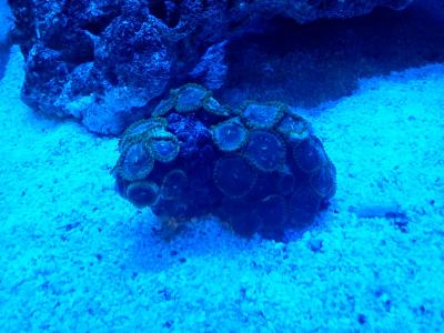 2013-06-19 18.46.13.jpg