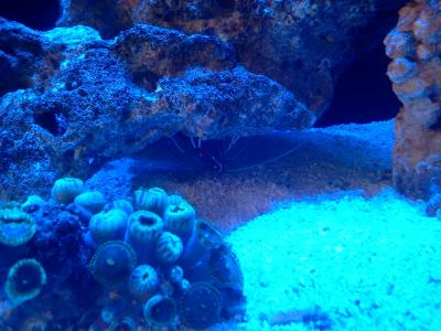 2013-06-19 19.05.16.jpg