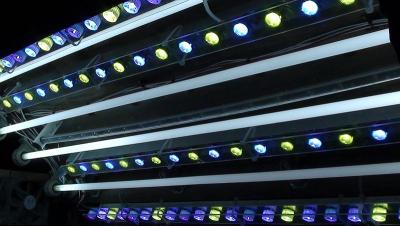 new LED lights.jpg