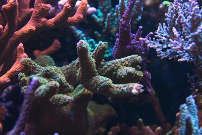 IMG_328111.jpg