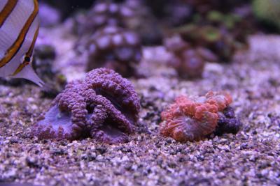 IMG_5587.JPG