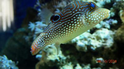P6150272-1.jpg