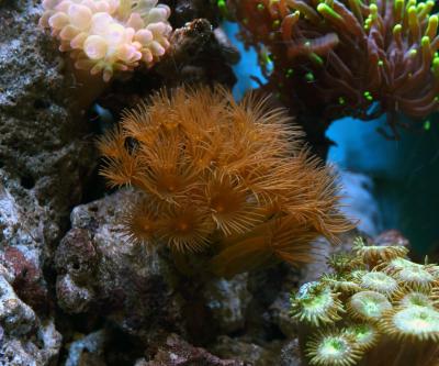 IMG_4799.JPG