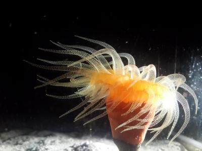 20150616_021610.jpg