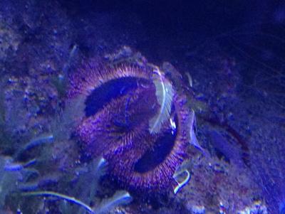 IMG_5596.JPG