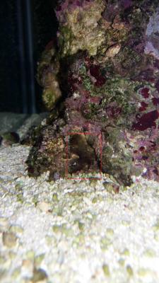 20160623_074400.jpg