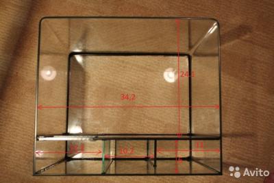 2446897402.jpg