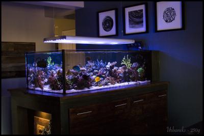 Dec FTS_.jpg