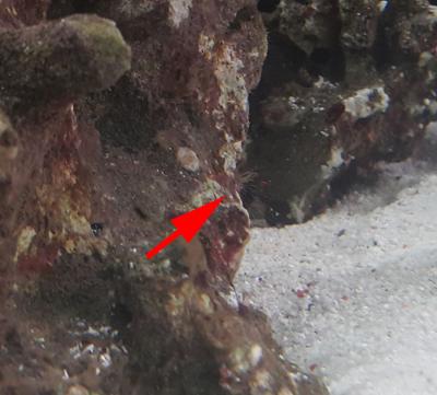 20160624_175301.jpg