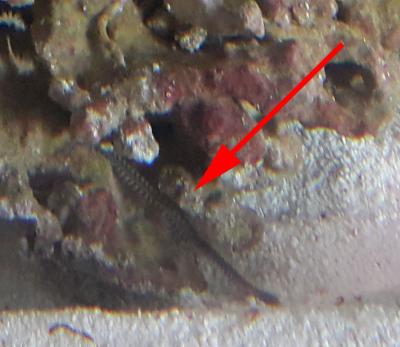 20160614_184821.jpg
