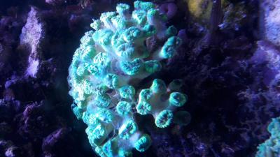 20170606_173238.jpg