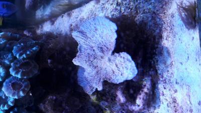 20170606_173228.jpg