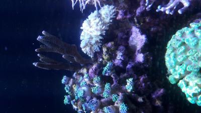 20170606_173252.jpg