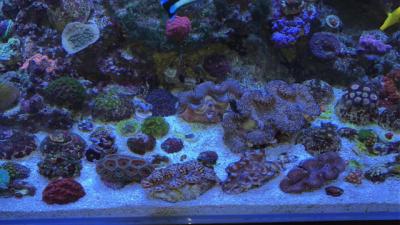 IMG_2565.JPG