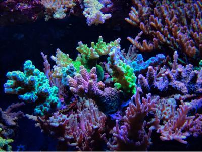 IMG_7309.JPG