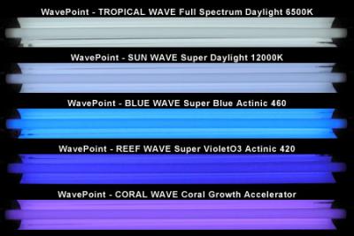 20130118-wavepoint-color.jpg
