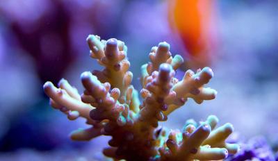 IMG_6396.jpg