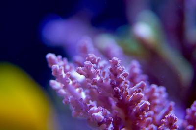 IMG_6542.jpg