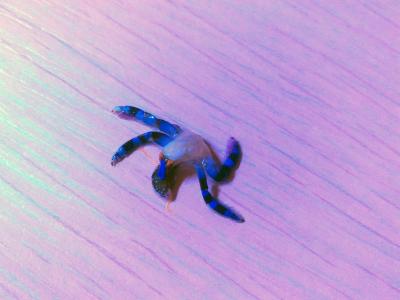 P_20170614_084227.jpg