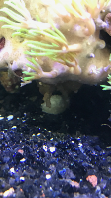 первый выход 20.06.png