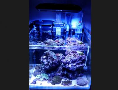 20 июня 2017.jpg