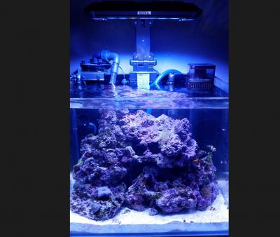 Месяц с момента запуска.jpg