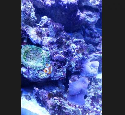 Месяц с момента запуска живность.jpg