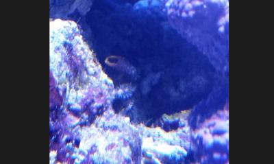 Месяц с момента запуска нелегал.jpg