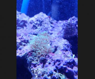 Месяц с момента запуска подарок.jpg