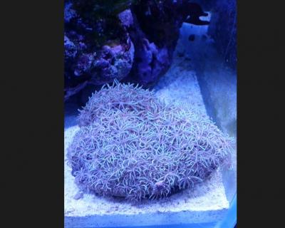 20 июня 2017 клава.jpg