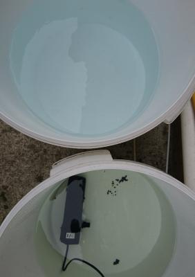 _20180628_091601.JPG