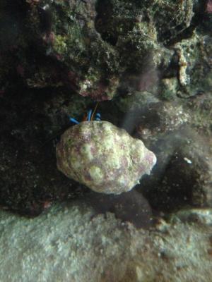 IMG_7849.JPG