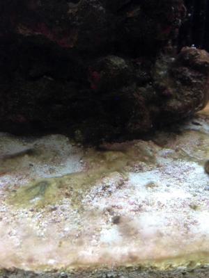 IMG_7805.JPG