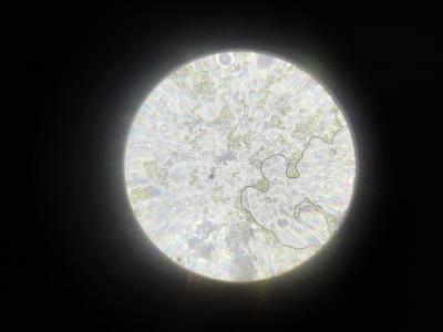 P90628-125648.jpg