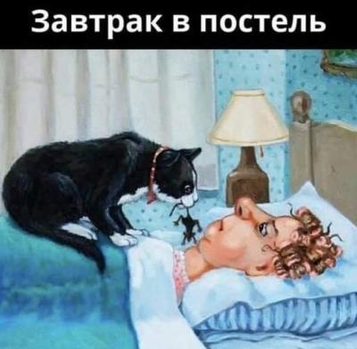 FB_IMG_1559471269380.jpg