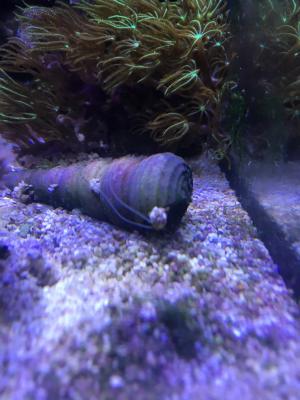 IMG_9176.JPG