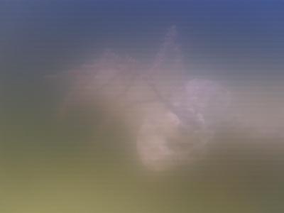 20200616_155914.jpg
