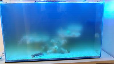 IMG-23f85e8b0410038f4329a5b8774a37b6-V.jpg