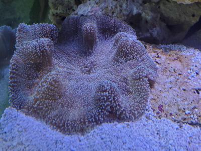 20200626_121438.jpg