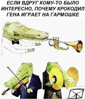 85.jpg